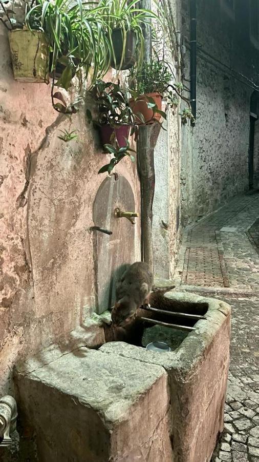 Le Petit Bijou Di Dolceacqua, Per Un Momento Romantico Zewnętrze zdjęcie